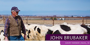 US Dairy Industry Unveiled